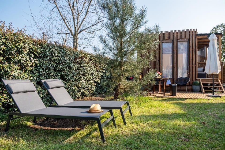 Patio, Garden