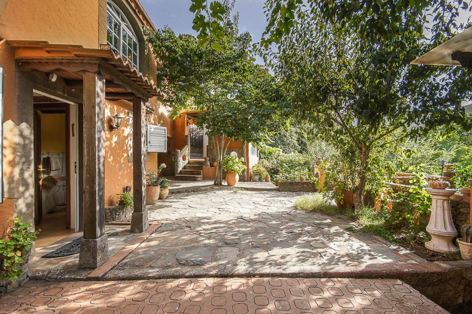 Facade/entrance, Garden
