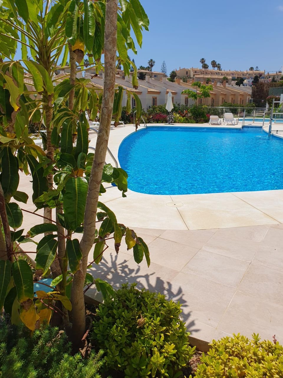 Pool view, Swimming pool, Entertainment