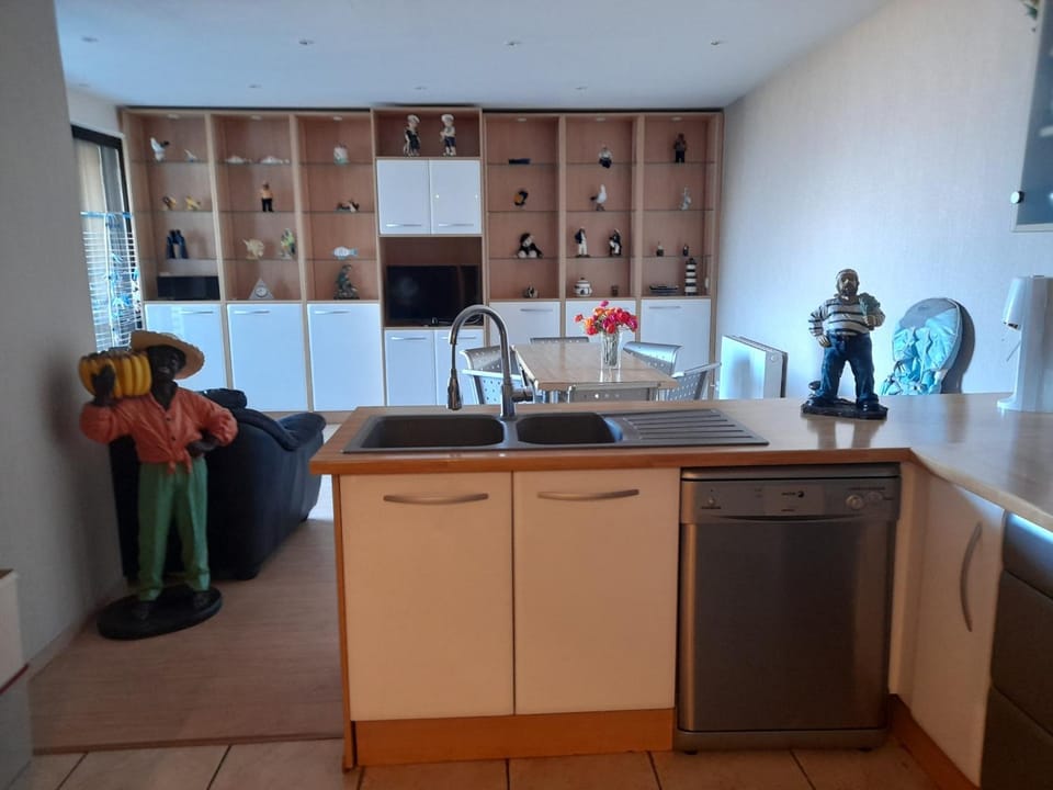 T3 centre Arcachon avec parking, vue bassin, proches commerces - FR-1-319-449 Apartment in Arcachon