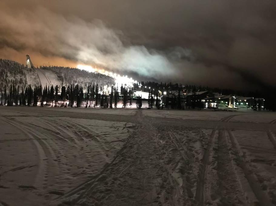 Natural landscape, Winter