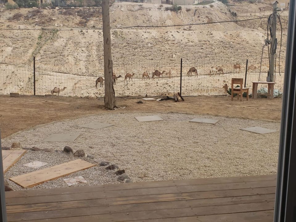 Moonlight Suite Arad צימר אור הירח, ערד Bed and Breakfast in South District