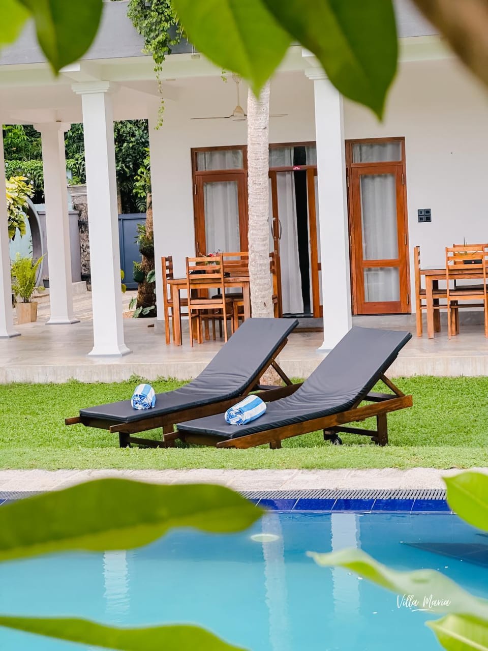 Garden, Garden view, sunbed