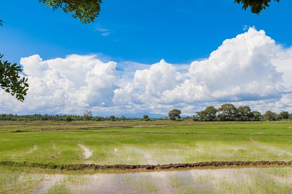 Natural landscape, Lake view