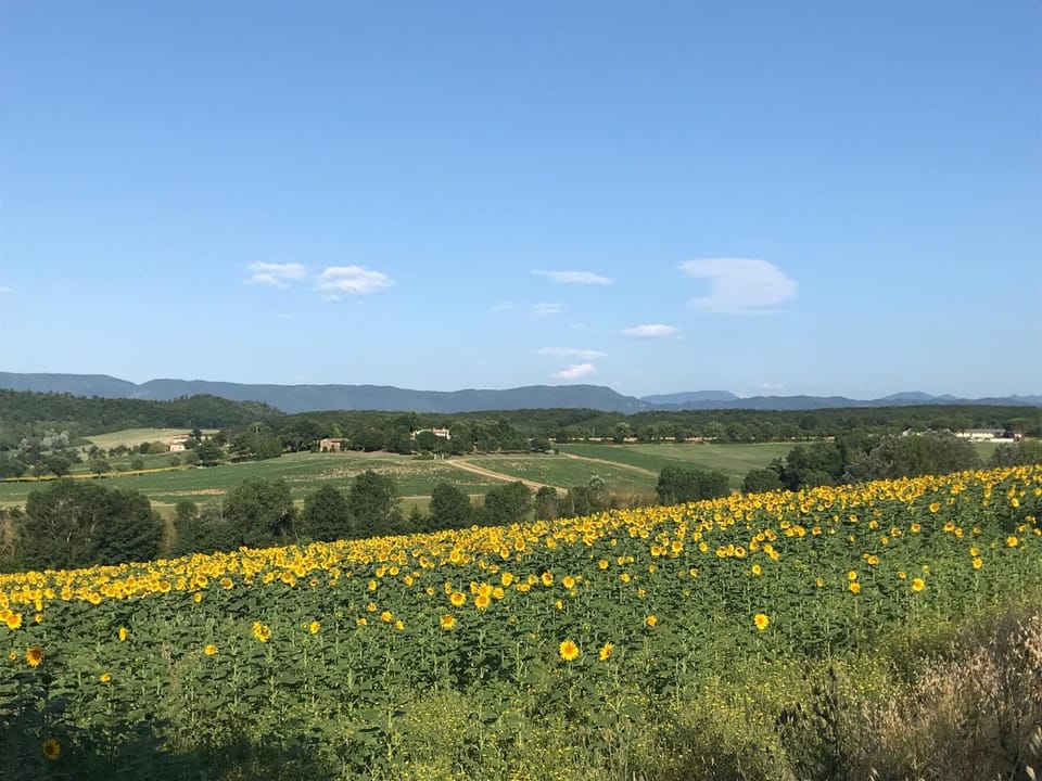 Natural landscape, Garden, Hiking