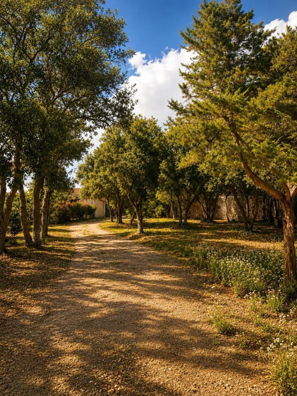 Villa SoleLuna Bed and Breakfast in Bonifacio