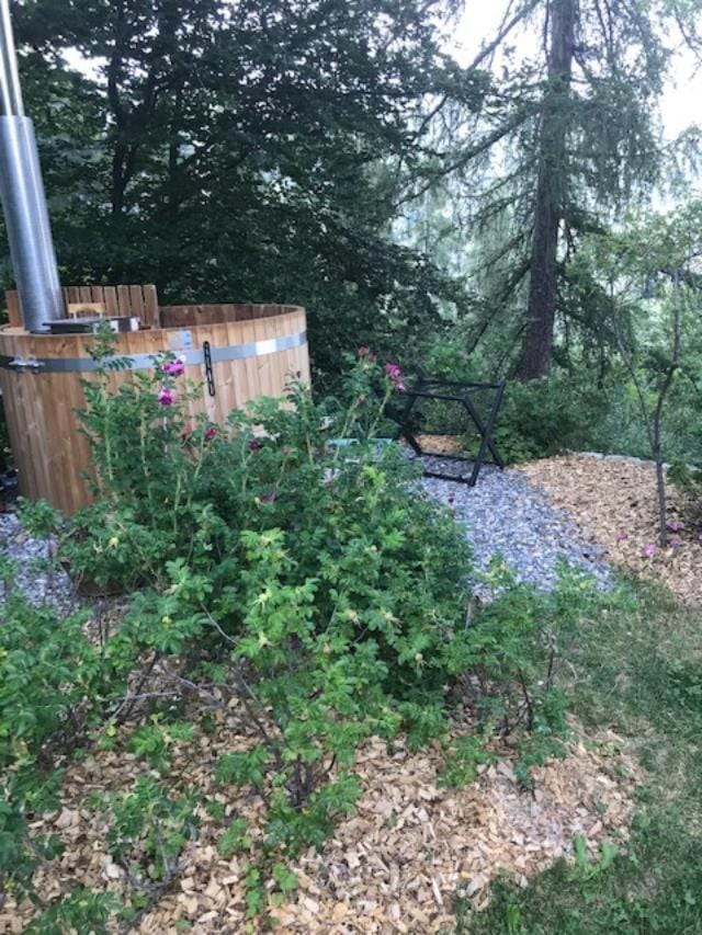 Garden view