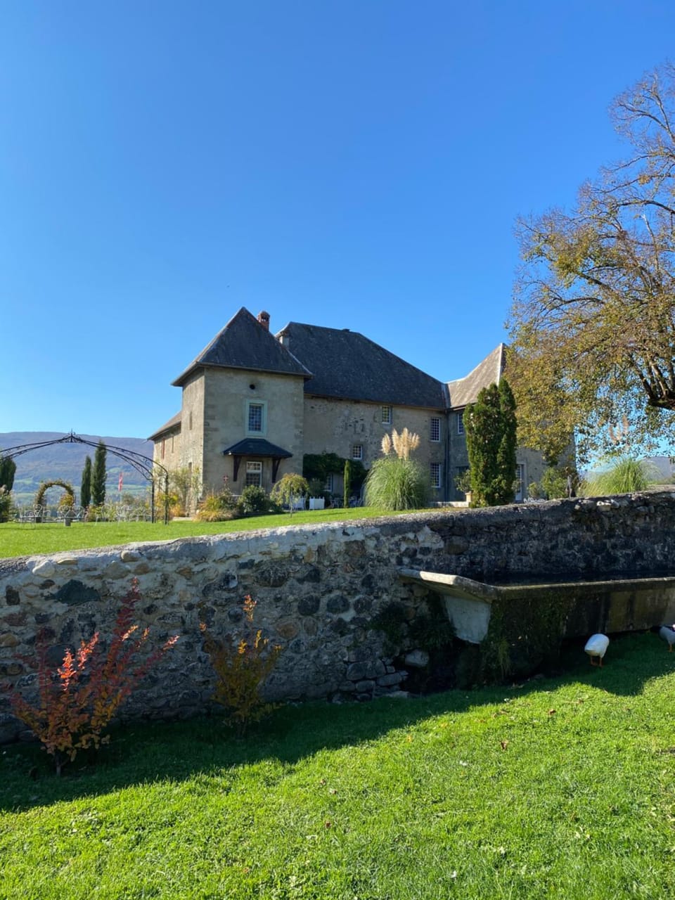 Property building, Spring, Garden view