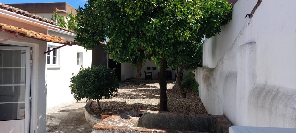 Inner courtyard view