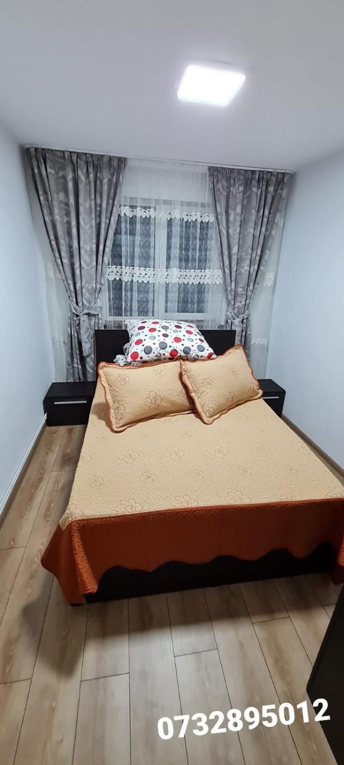 Apartament Bianca Apartment in Romania