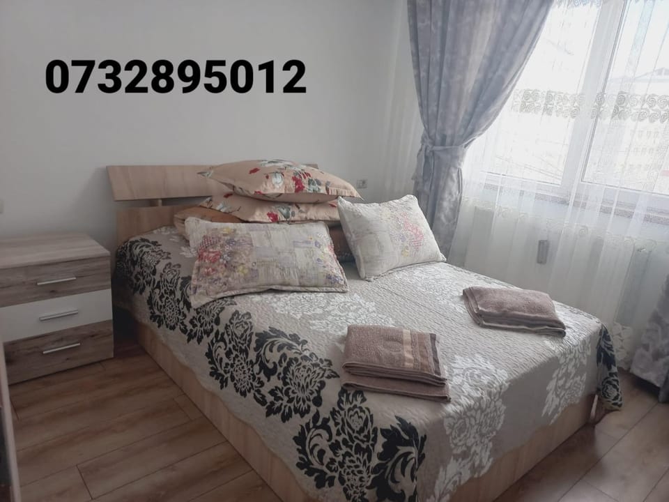 Apartament Bianca Apartment in Romania