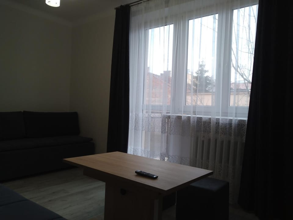 Living Room Economic Apartment in Lesser Poland Voivodeship