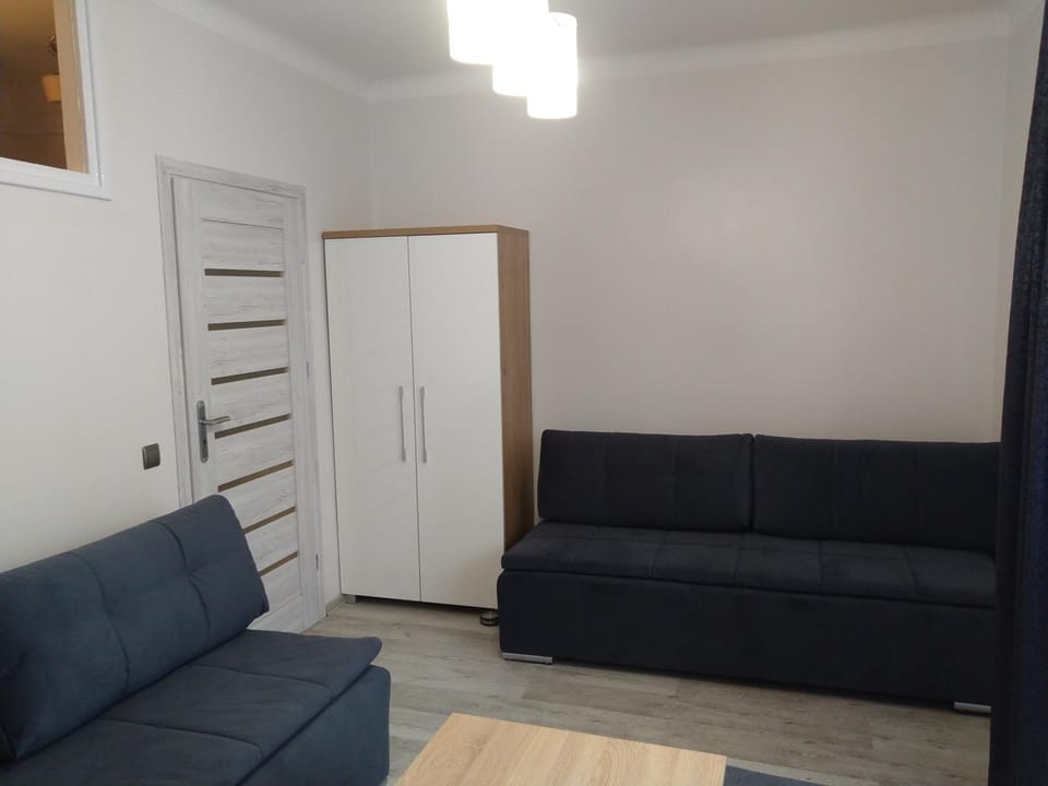 Living Room Economic Apartment in Lesser Poland Voivodeship