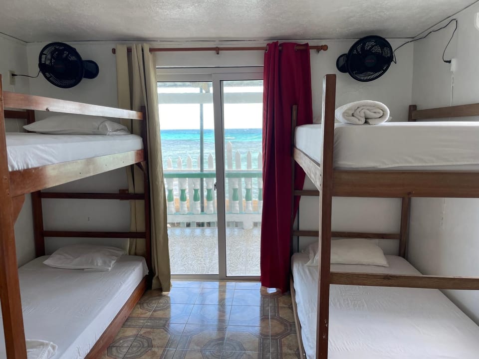 bunk bed