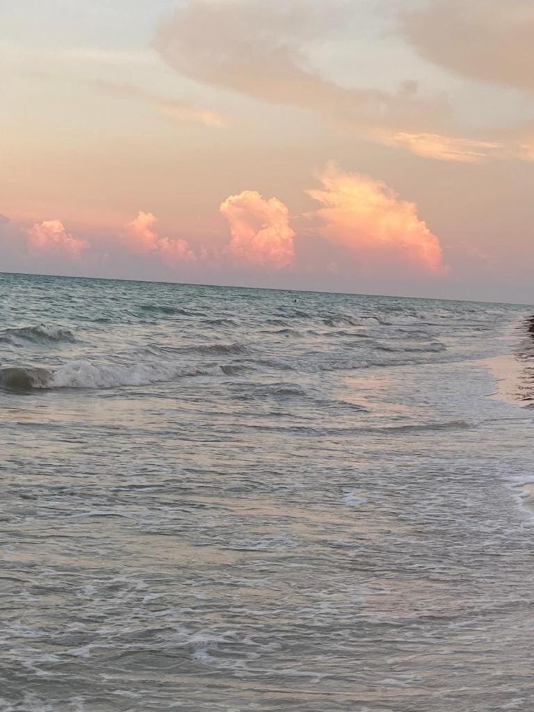 Villa Gaviotas el cuyo beach Bed and Breakfast in State of Quintana Roo