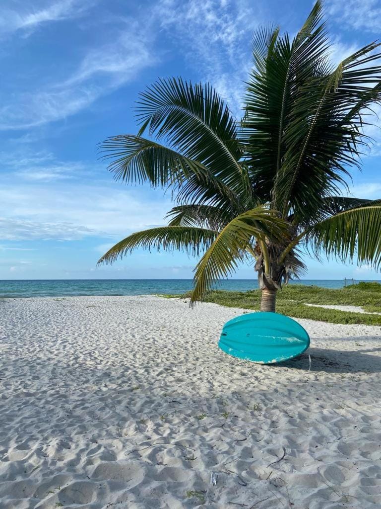 Villa Gaviotas el cuyo beach Bed and Breakfast in State of Quintana Roo