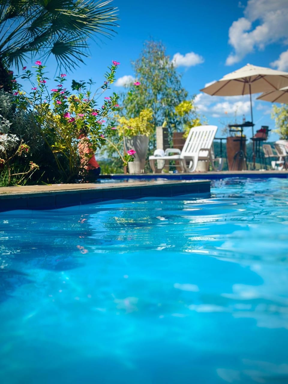 Day, Pool view, Swimming pool, sunbed
