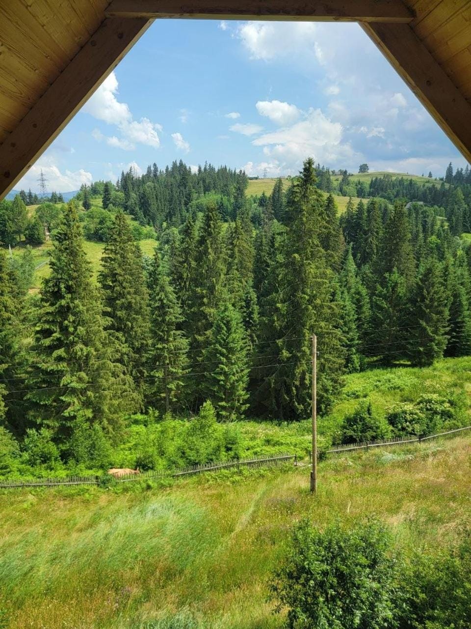 Spring, Day, Natural landscape, Mountain view