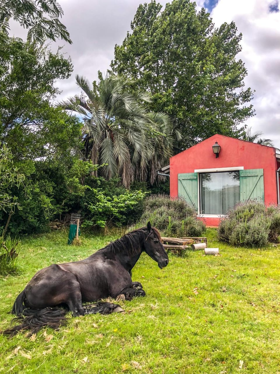 Casa de campo - retiro con encanto en las sierras Chalet in Maldonado Department, Uruguay