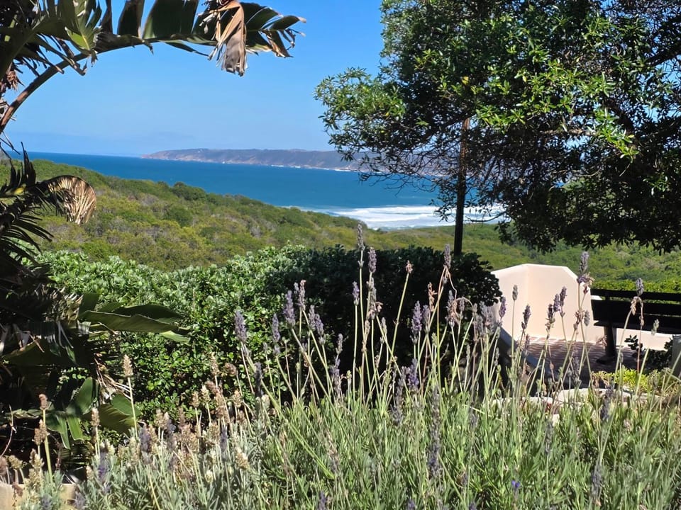 Villa Cape Garden Route Bed and Breakfast in Western Cape