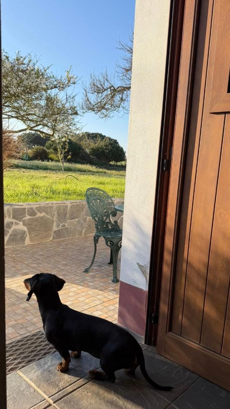 Heu’s Monte House in Faro District