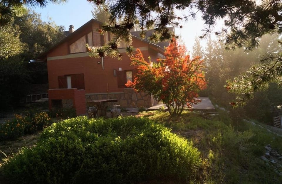 Las Retamas House in Villa Pehuenia
