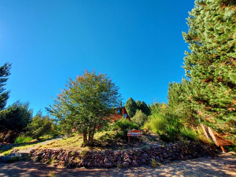 Las Retamas House in Villa Pehuenia