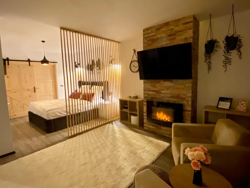 Dream Studio Silver Mountain Apartment in Brasov