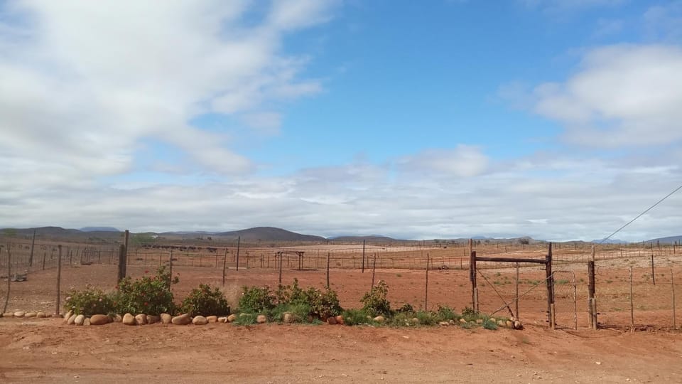 PurePlaas Self catering Volmoed Oudtshoorn Klein Karoo Apartment in Western Cape