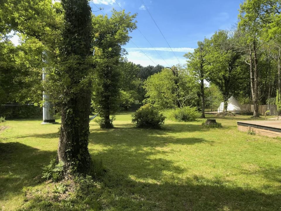 Spring, Day, Natural landscape, Garden, Garden view