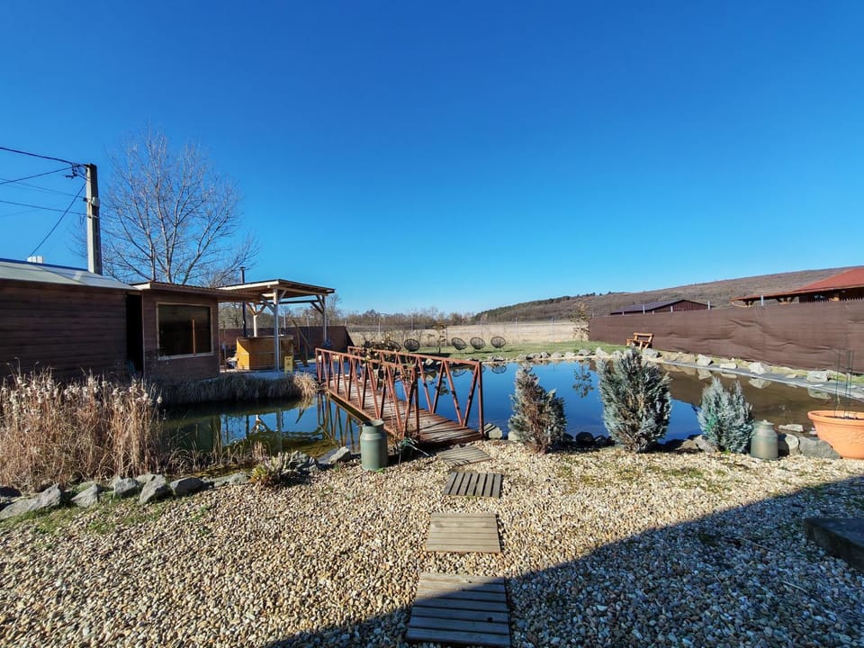 Lake view