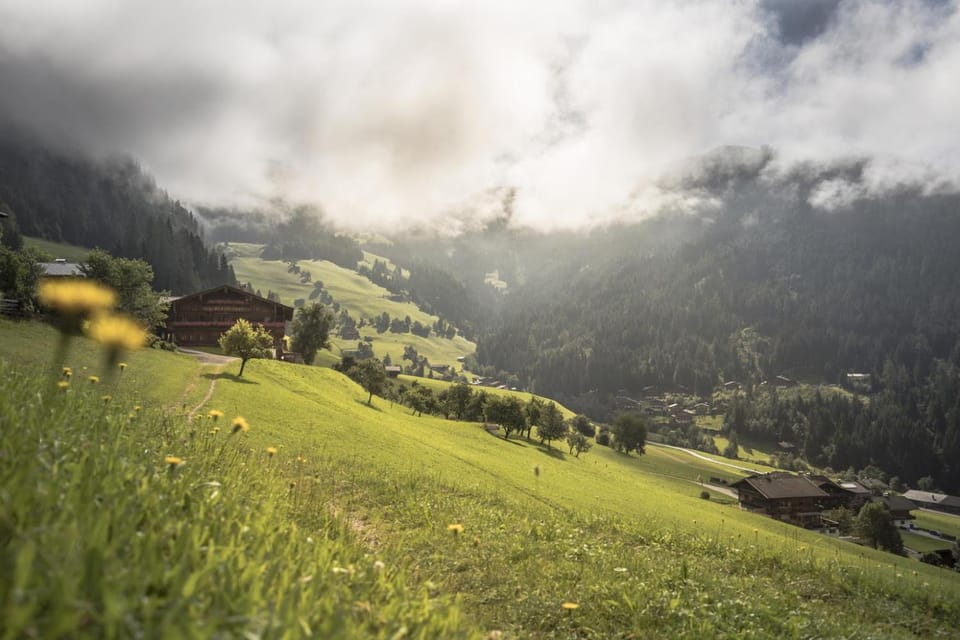Natural landscape