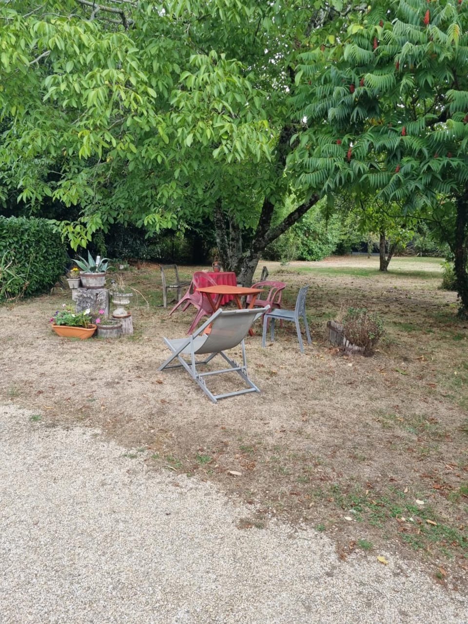 gîte Les Ajoncs - Evasion et sérénité aux portes de Vannes Apartment in Vannes