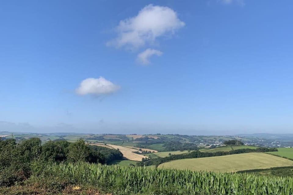 The Cabin at Barnstormers, luxury woodland setting Cabin in Paignton