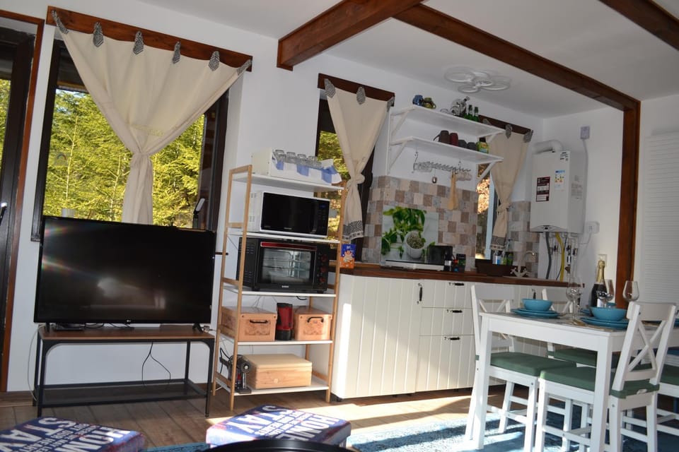 Studio Mirage@Snow Residence (ski & forest) Apartment in Prahova, Romania