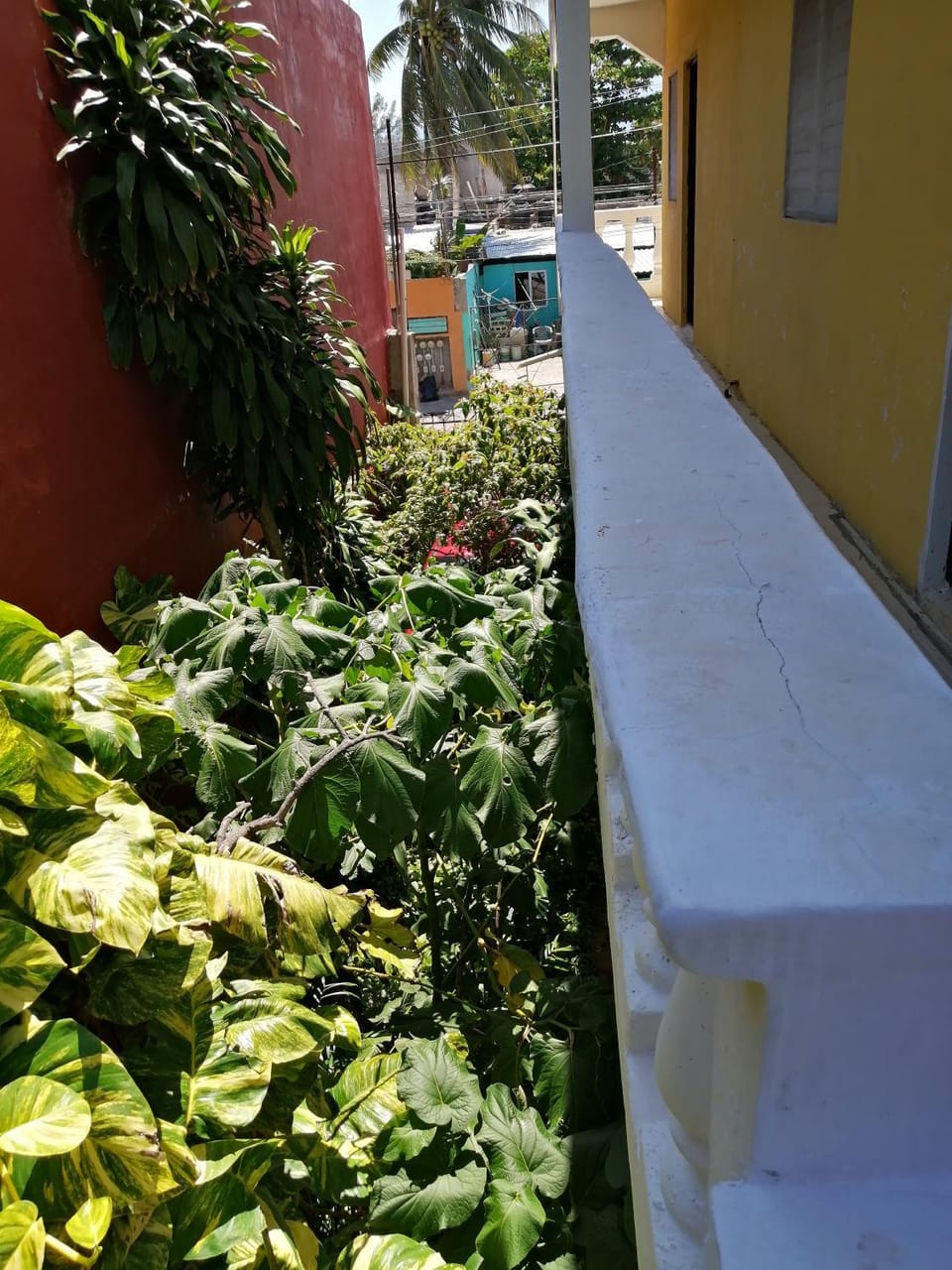 Balcony/Terrace