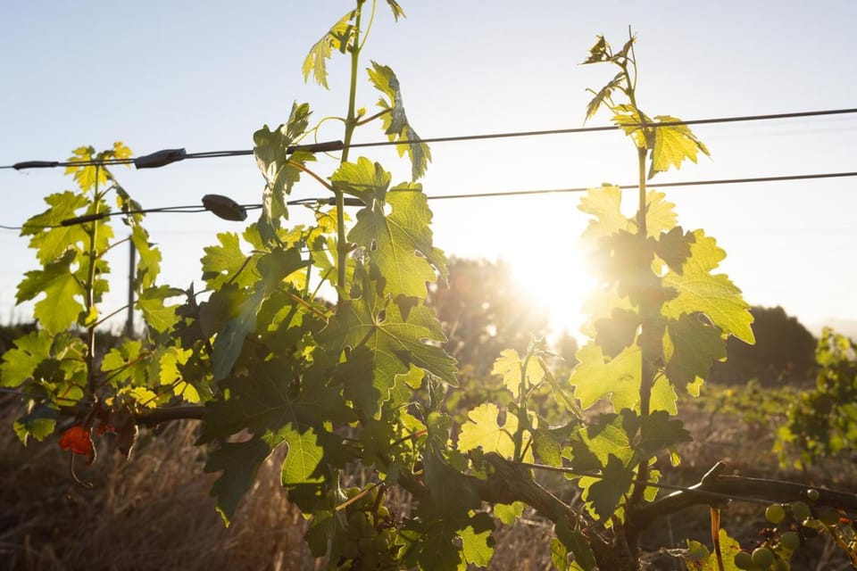 Day, Natural landscape