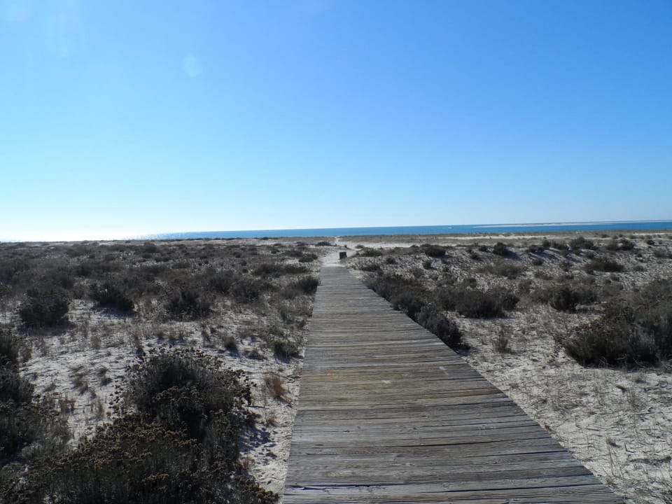 Natural landscape, Beach, Hiking