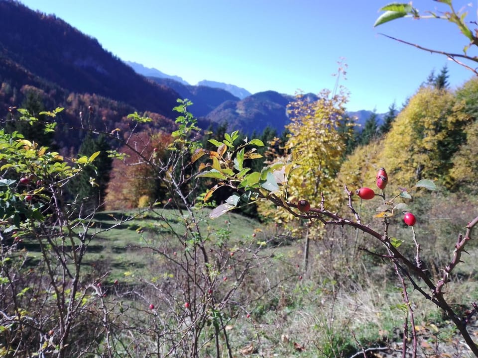 Ferienwohnung Bergzeit Apartment in Salzburgerland