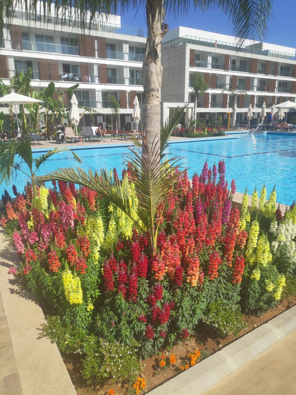 Property building, Swimming pool