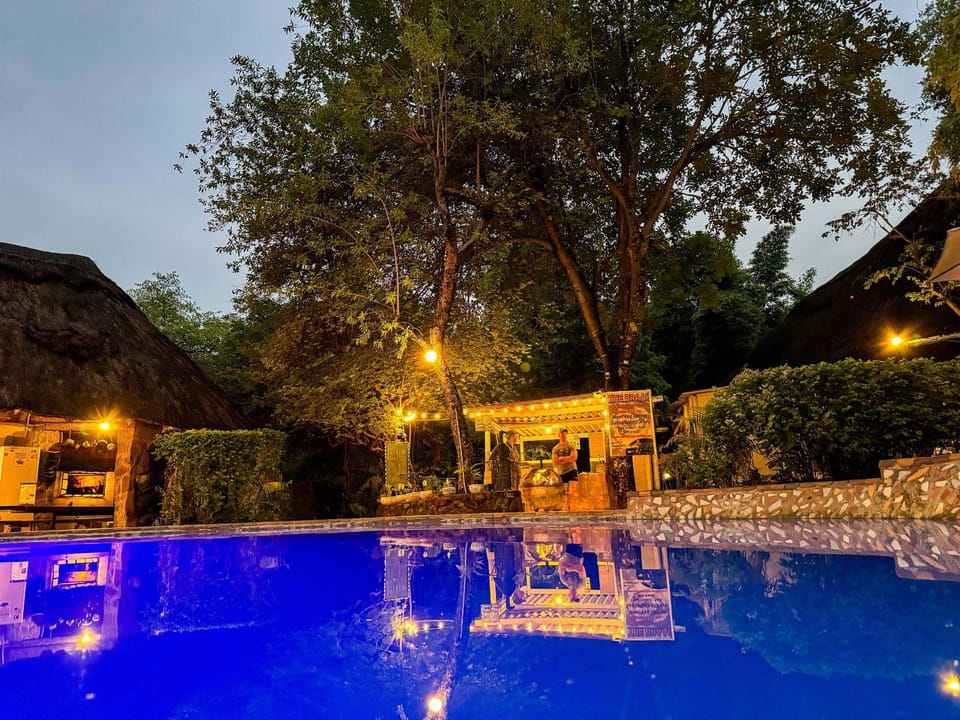 Night, Garden, Pool view, Swimming pool, Swimming pool