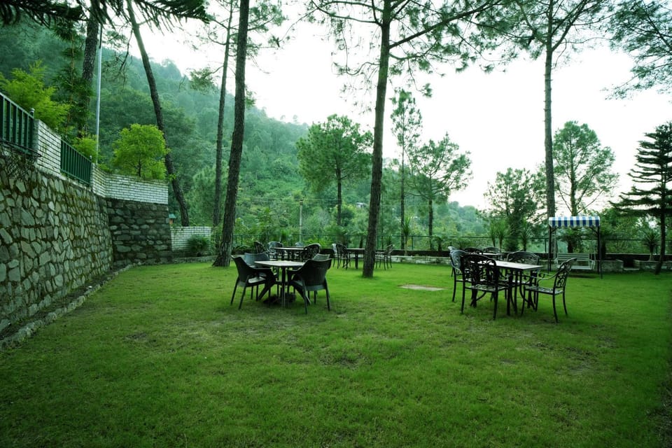Garden view