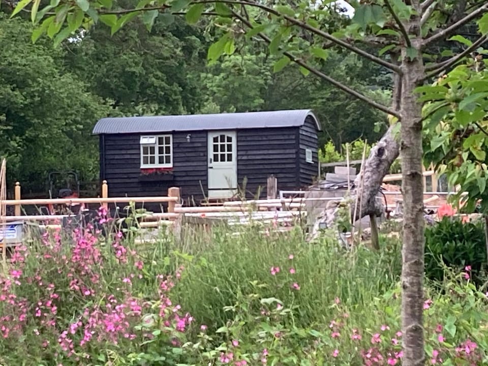 Property building, Natural landscape, Garden