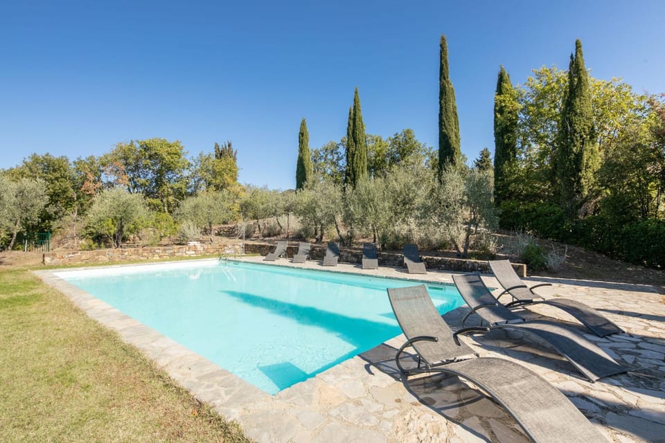 Garden, Swimming pool