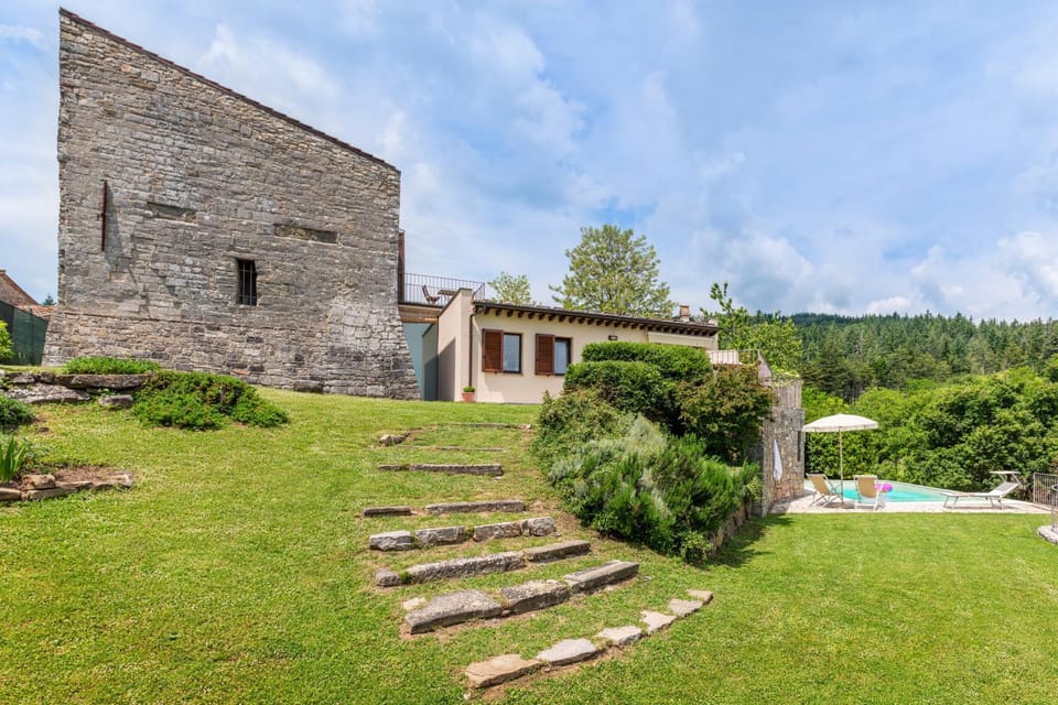 Garden, Garden view, Swimming pool