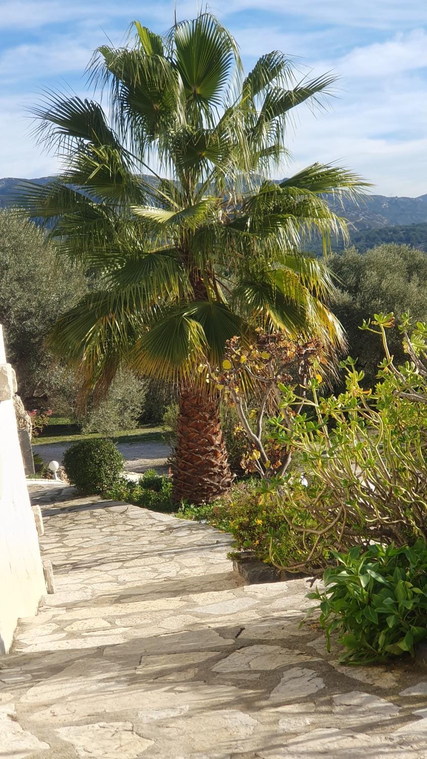 Mon coin de Provence petit-déjeuner offert Bed and Breakfast in French Riviera