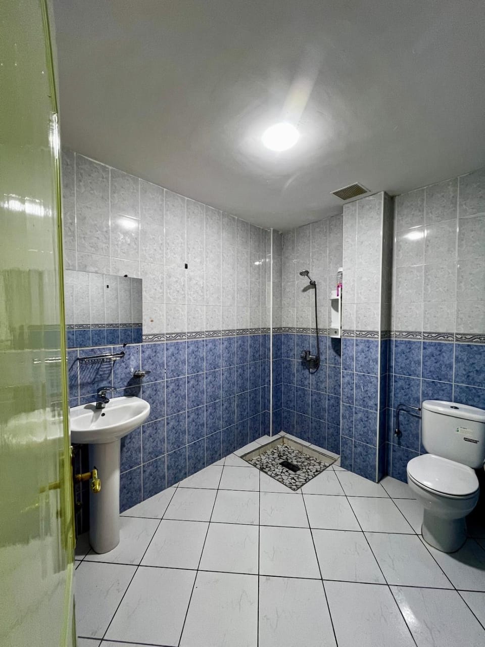 Shower, Toilet