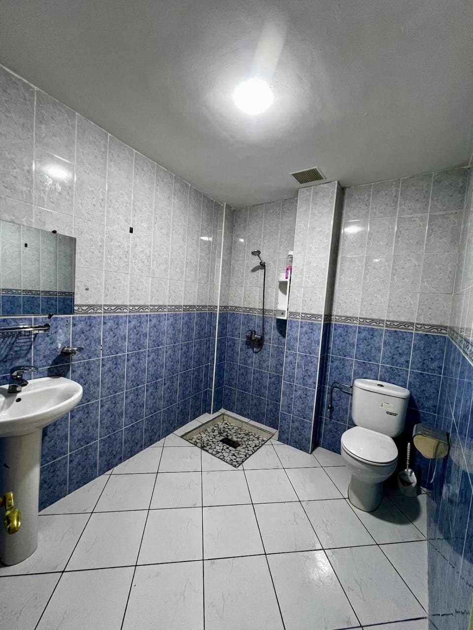 Shower, Toilet