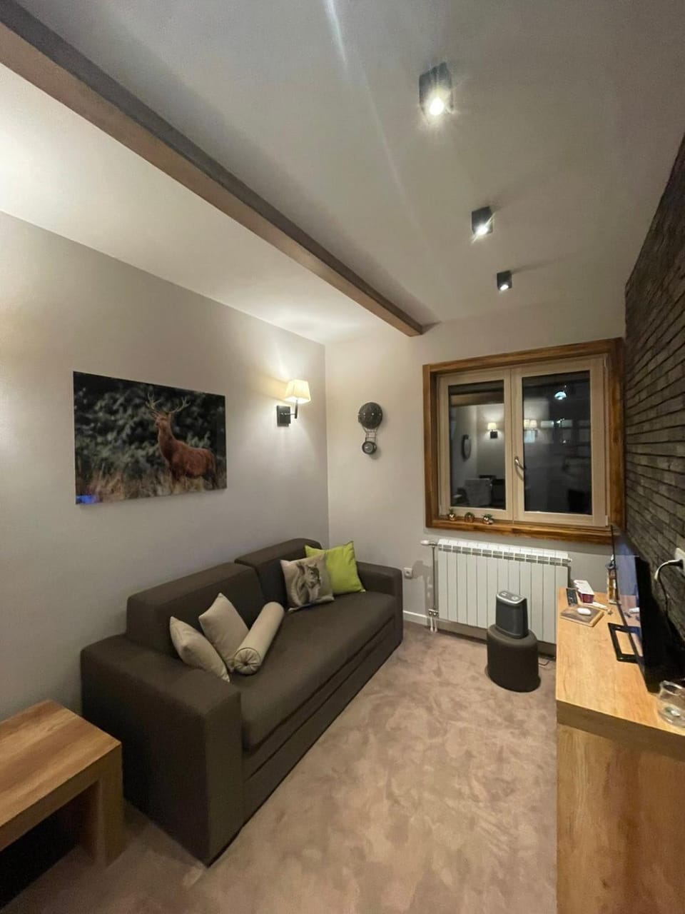 Luna Apartman, Župa Kopaonik Apartment in Serbia