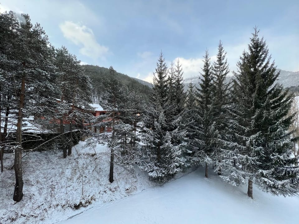 Winter, Mountain view